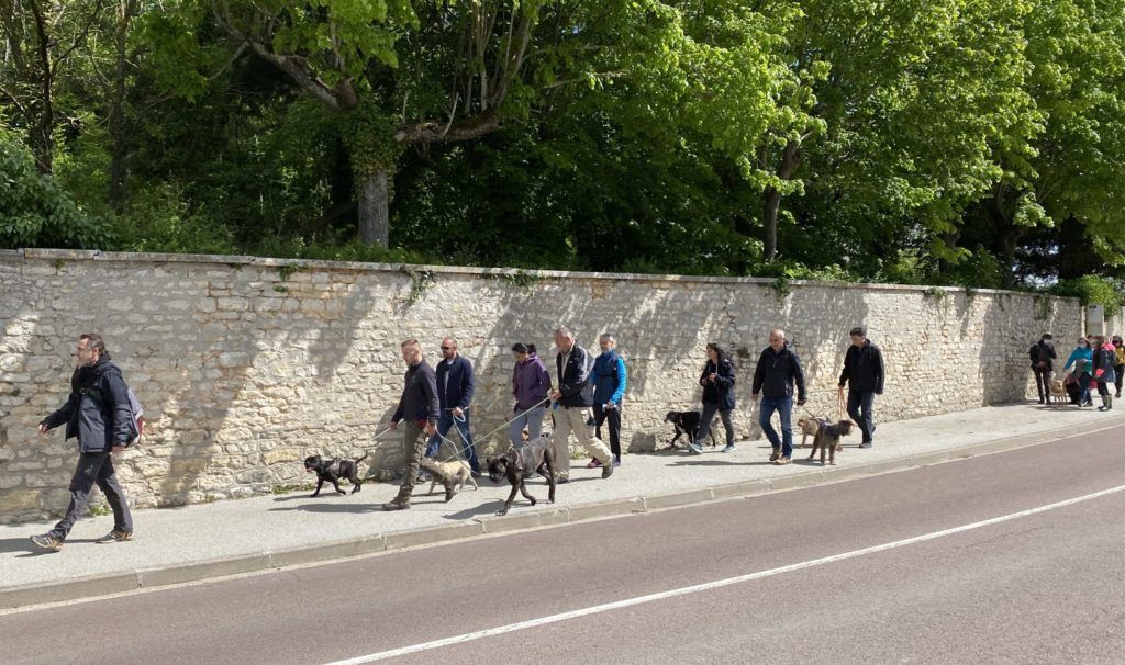 Educhien78 club canin de la plaine de jouars club canin yvelines 78 île de france chien chiot dressage ecole du chiot dresseur éducation canine educateur canin Alexis Bonnarang stages formations canines