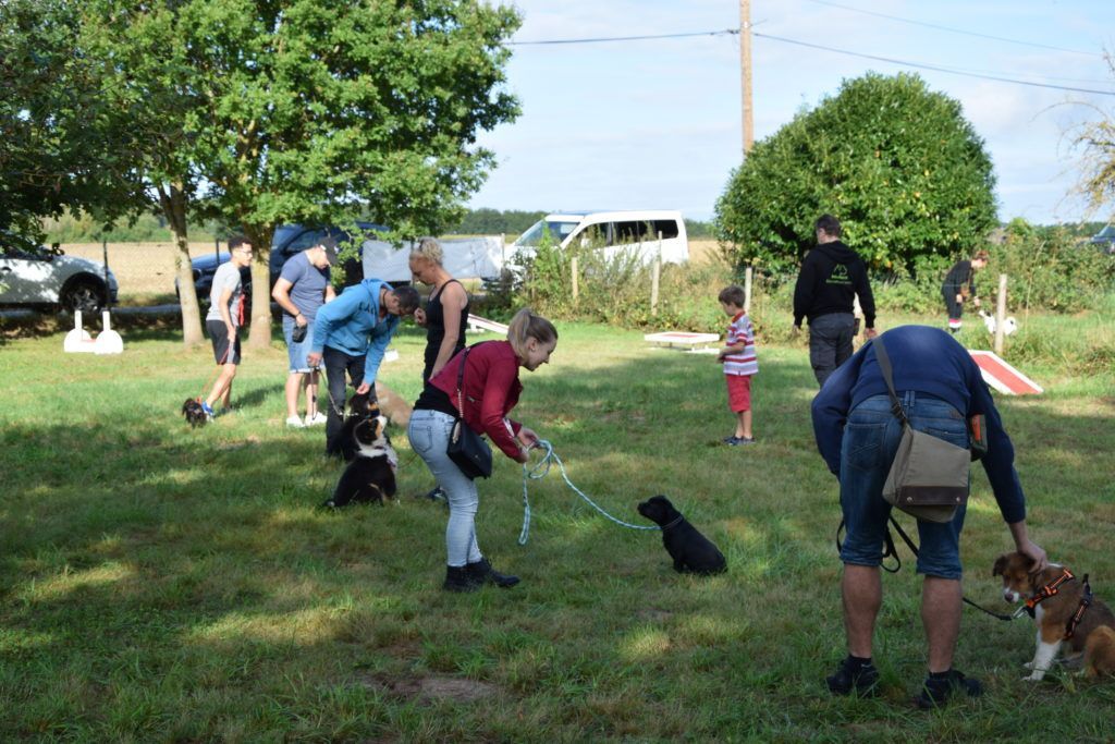 club canin de la plaine de jouars club canin yvelines dressage chien chiot école des chiots education du chiot île-de-france educhien78 educhien formation cours d'éducation canine 78 Alexis bonnarang leader de l'éducation canine dans les Yvelines Agility Obéissance education équilibrée positive Dresseur Educateur canin comportementaliste club canin familial stage et formation canine canicross stage intensif stage de recherche olfactive chien