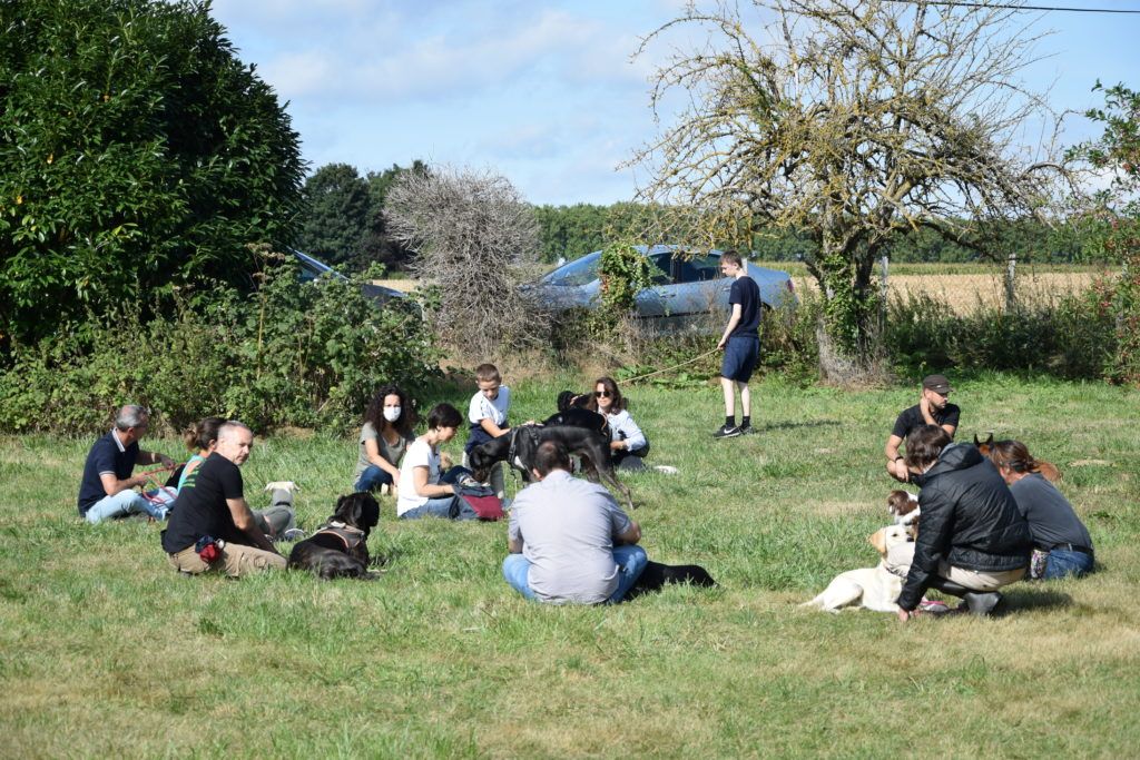 club canin de la plaine de jouars club canin yvelines dressage chien chiot école des chiots education du chiot île-de-france educhien78 educhien formation cours d'éducation canine 78 Alexis bonnarang leader de l'éducation canine dans les Yvelines Agility Obéissance education équilibrée positive Dresseur Educateur canin comportementaliste club canin familial stage et formation canine canicross stage intensif stage de recherche olfactive chien