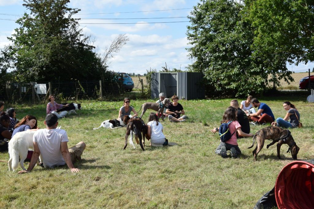 club canin de la plaine de jouars club canin yvelines dressage chien chiot école des chiots education du chiot île-de-france educhien78 educhien formation cours d'éducation canine 78 Alexis bonnarang leader de l'éducation canine dans les Yvelines Agility Obéissance education équilibrée positive Dresseur Educateur canin comportementaliste club canin familial stage et formation canine canicross stage intensif stage de recherche olfactive chien