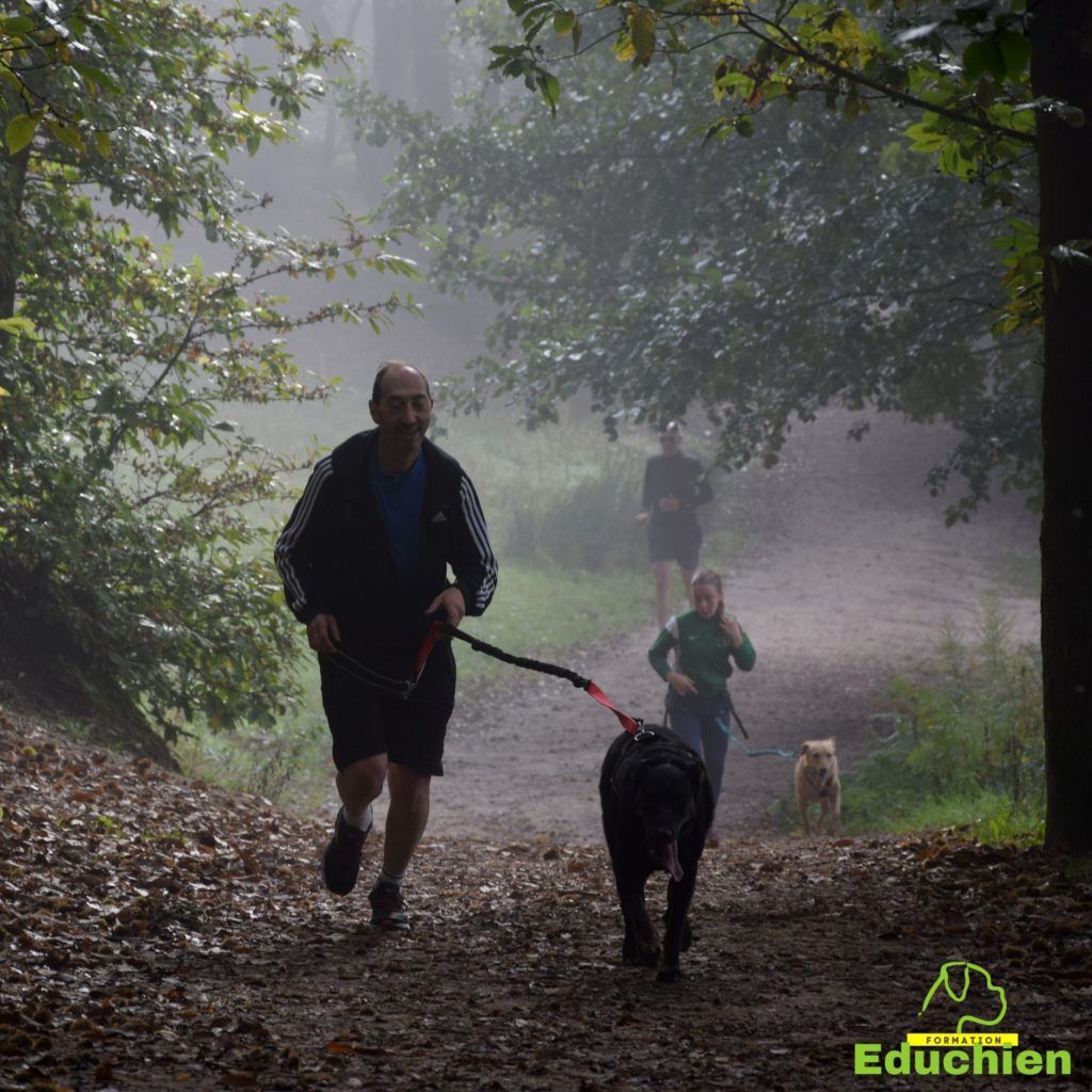 Canicross 2021 educhien78 club canin de la plaine de jouars club canin yvelines 78 île-de-france dog training Alexis bonnarang Educhien formation educateur canin comportementaliste Alexis bonnarang évènement canin journée internationale du chien