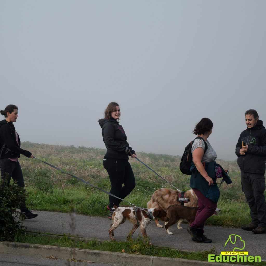 Canicross 2021 educhien78 club canin de la plaine de jouars club canin yvelines 78 île-de-france dog training Alexis bonnarang Educhien formation educateur canin comportementaliste Alexis bonnarang évènement canin journée internationale du chien