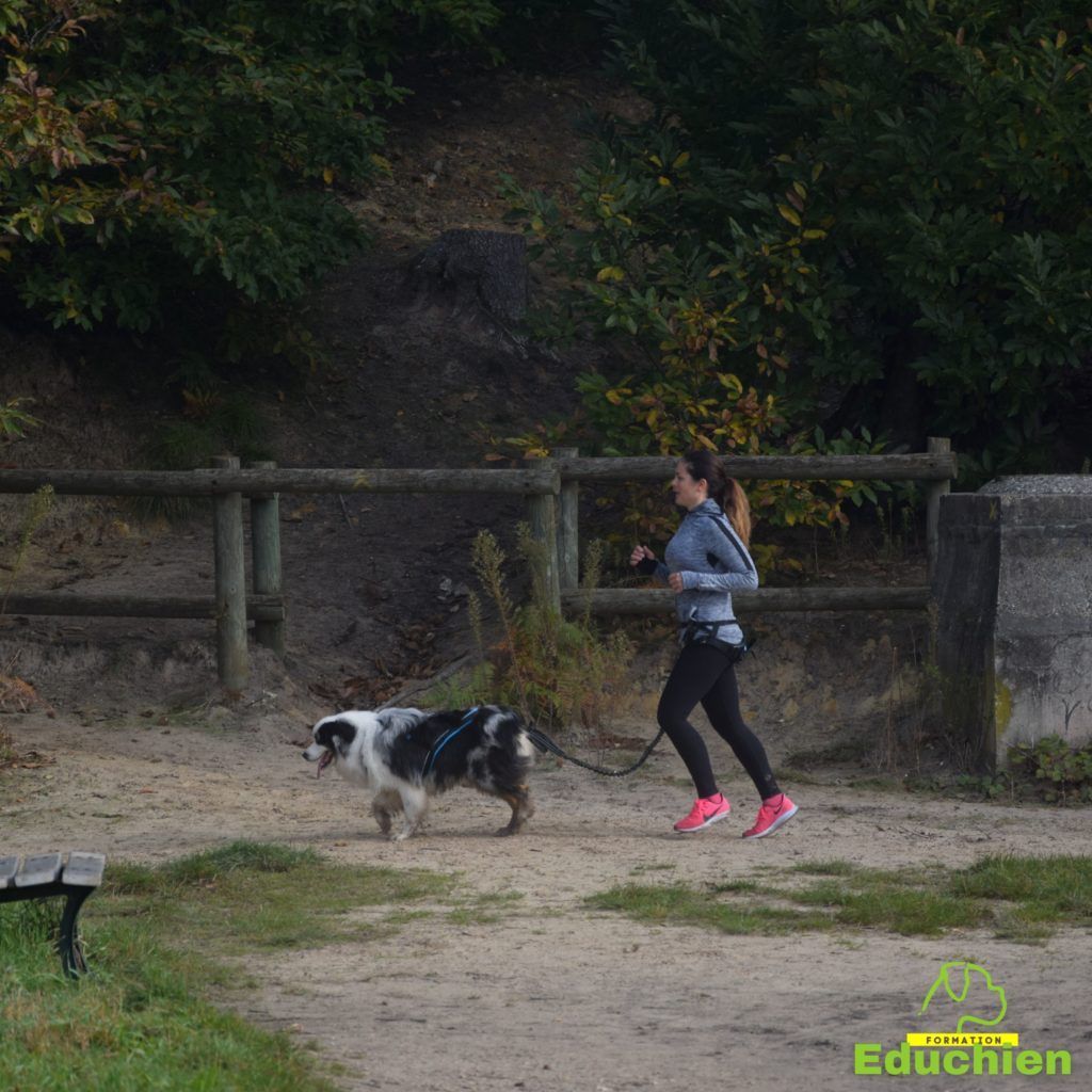 Canicross 2021 educhien78 club canin de la plaine de jouars club canin yvelines 78 île-de-france dog training Alexis bonnarang Educhien formation educateur canin comportementaliste Alexis bonnarang évènement canin journée internationale du chien