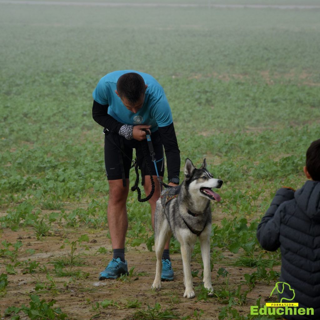 Canicross 2021 educhien78 club canin de la plaine de jouars club canin yvelines 78 île-de-france dog training Alexis bonnarang Educhien formation educateur canin comportementaliste Alexis bonnarang évènement canin journée internationale du chien