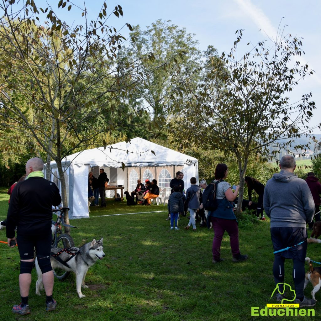 Canicross 2021 educhien78 club canin de la plaine de jouars club canin yvelines 78 île-de-france dog training Alexis bonnarang Educhien formation educateur canin comportementaliste Alexis bonnarang évènement canin journée internationale du chien