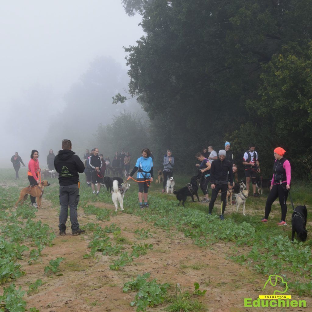 Canicross 2021 educhien78 club canin de la plaine de jouars club canin yvelines 78 île-de-france dog training Alexis bonnarang Educhien formation educateur canin comportementaliste Alexis bonnarang évènement canin journée internationale du chien