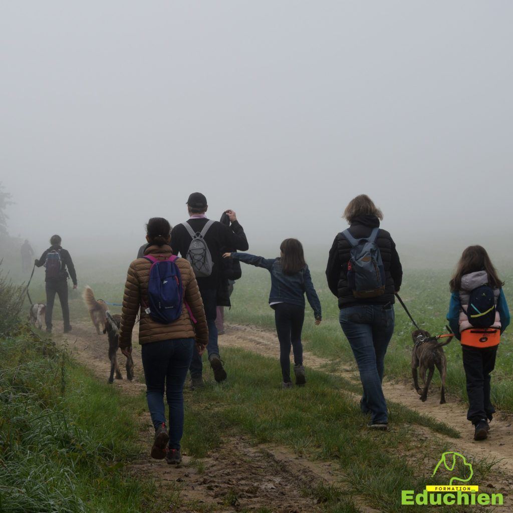 Canicross 2021 educhien78 club canin de la plaine de jouars club canin yvelines 78 île-de-france dog training Alexis bonnarang Educhien formation educateur canin comportementaliste Alexis bonnarang évènement canin journée internationale du chien