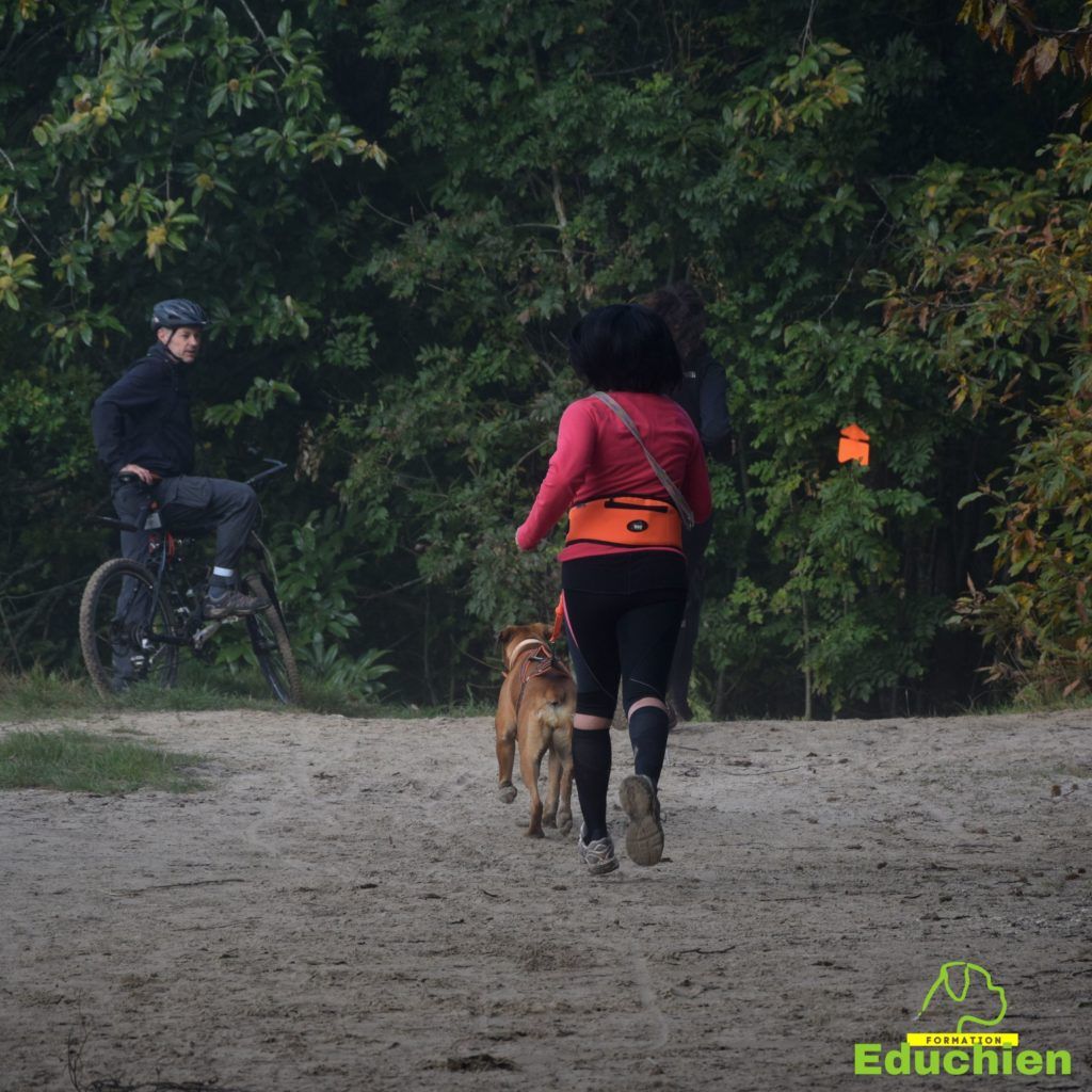 Canicross 2021 educhien78 club canin de la plaine de jouars club canin yvelines 78 île-de-france dog training Alexis bonnarang Educhien formation educateur canin comportementaliste Alexis bonnarang évènement canin journée internationale du chien