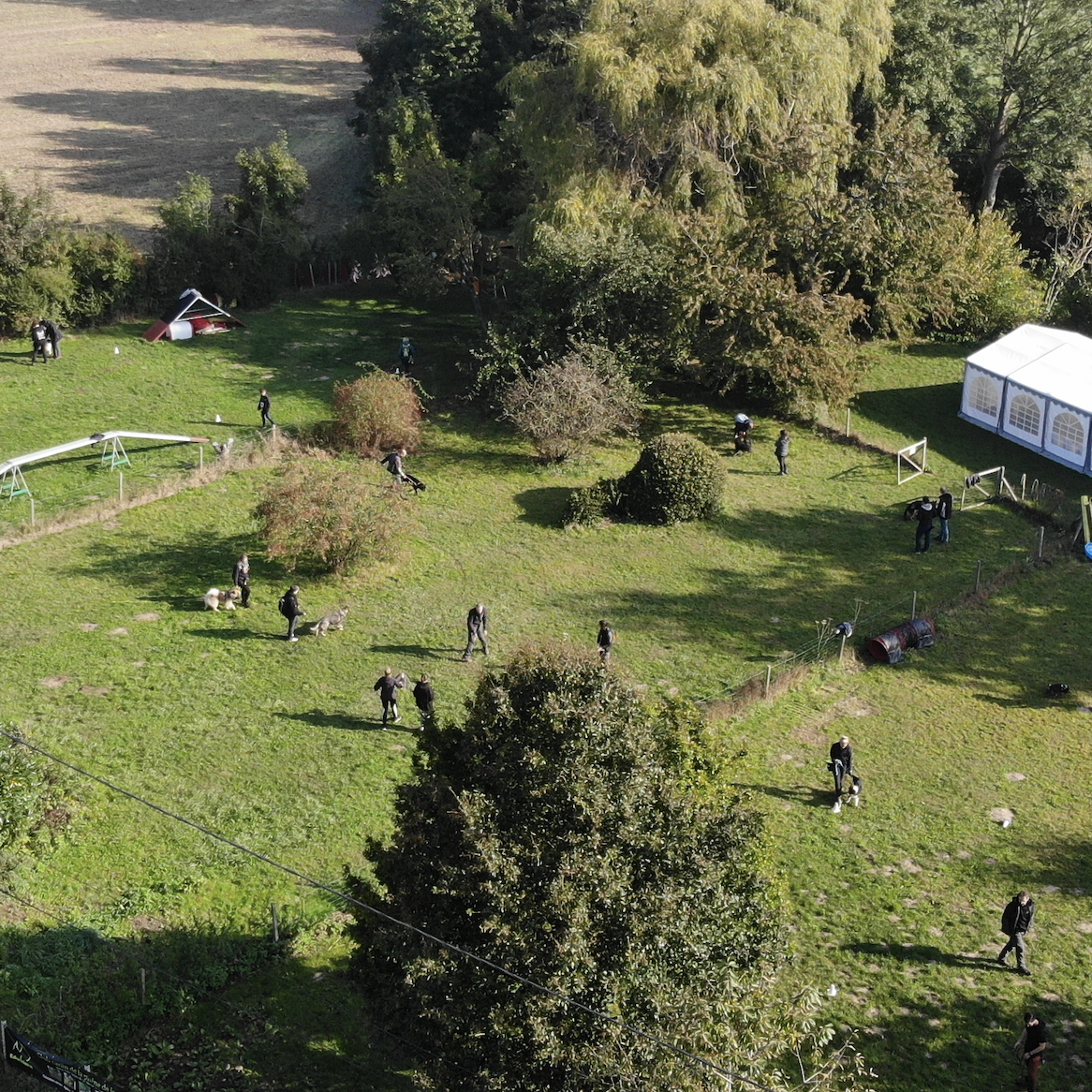 Club canin de la plaine de jouars yvelines 78 île de france Educhien78 Alexis bonnarang educhien formation stages et formations canines education canine obéissance clicker training agility canirandonnée école du chiot jouars-pontchartrain Alexis bonnarang