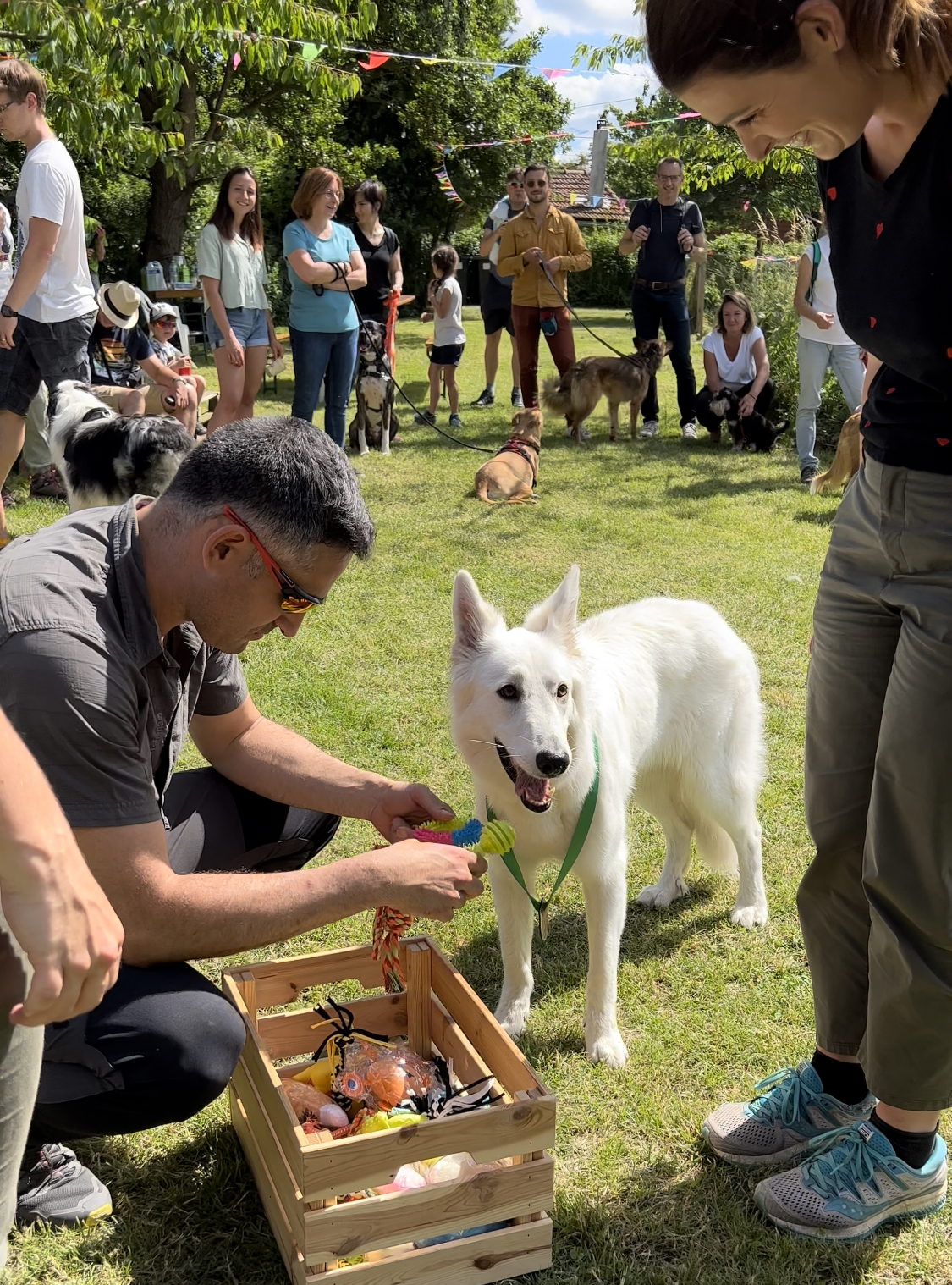 Fête du club canin de la plaine de jouars EDUCHIEN educhien78 education canine educateur canin Yvelines 78 ecole du chiot obéissance Agility education positive île-de-france Jouars-pontchartrain Versailles Paris Mantes-la-jolie Rambouillet dressage canin chien chiot comportement canin Alexis bonnarang