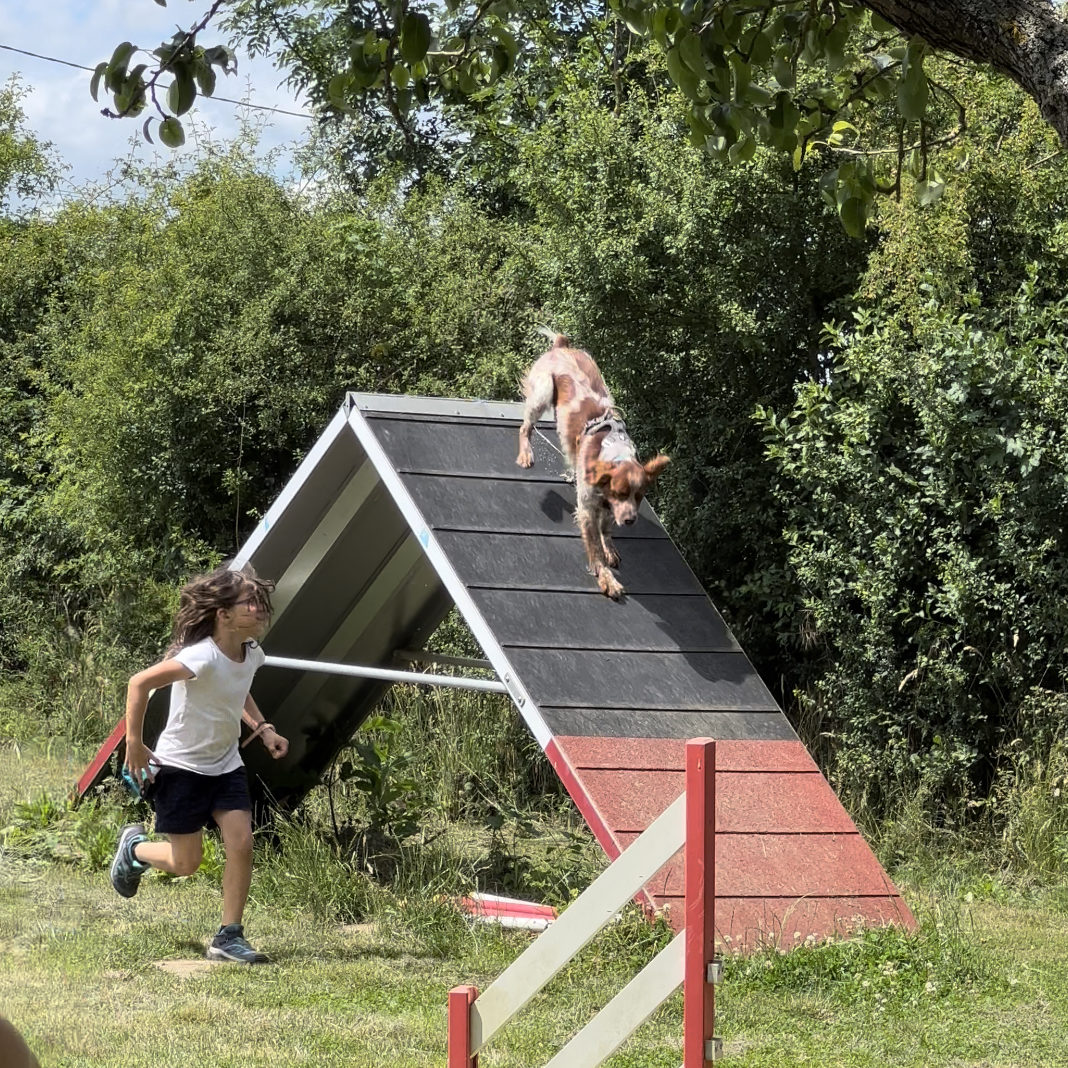 Fête du club canin de la plaine de jouars EDUCHIEN educhien78 education canine educateur canin Yvelines 78 ecole du chiot obéissance Agility education positive île-de-france Jouars-pontchartrain Versailles Paris Mantes-la-jolie Rambouillet dressage canin chien chiot comportement canin Alexis bonnarang