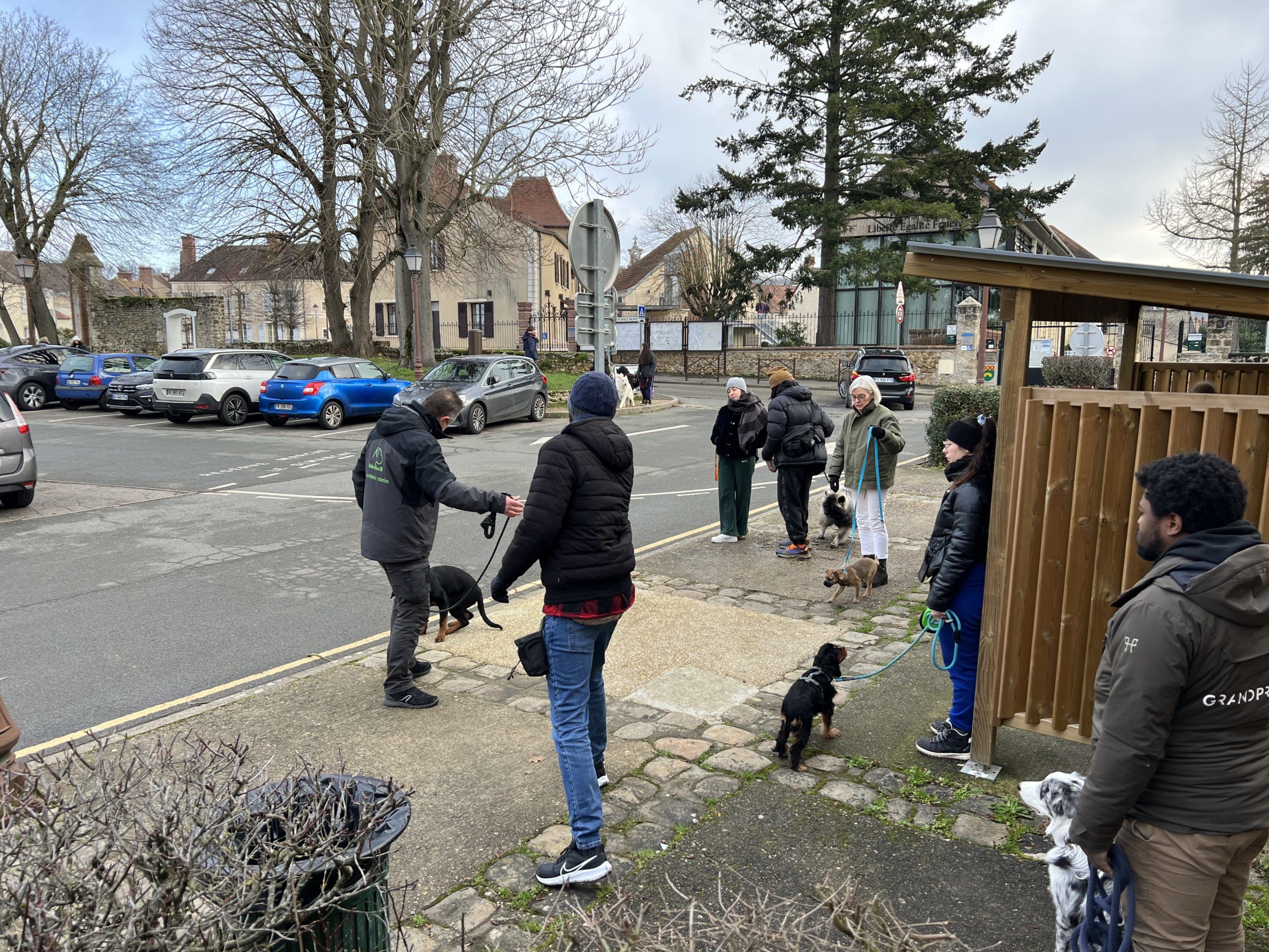 cours collectif d'éducation canine en ville apprentissage des traversées de routes école des chiots éducation chien club canin de la plaine de jouars Jouars-Pontchartrain Villiers-saint-frédéric neauphle-le-château activités canines Yvelines EDUCHIEn