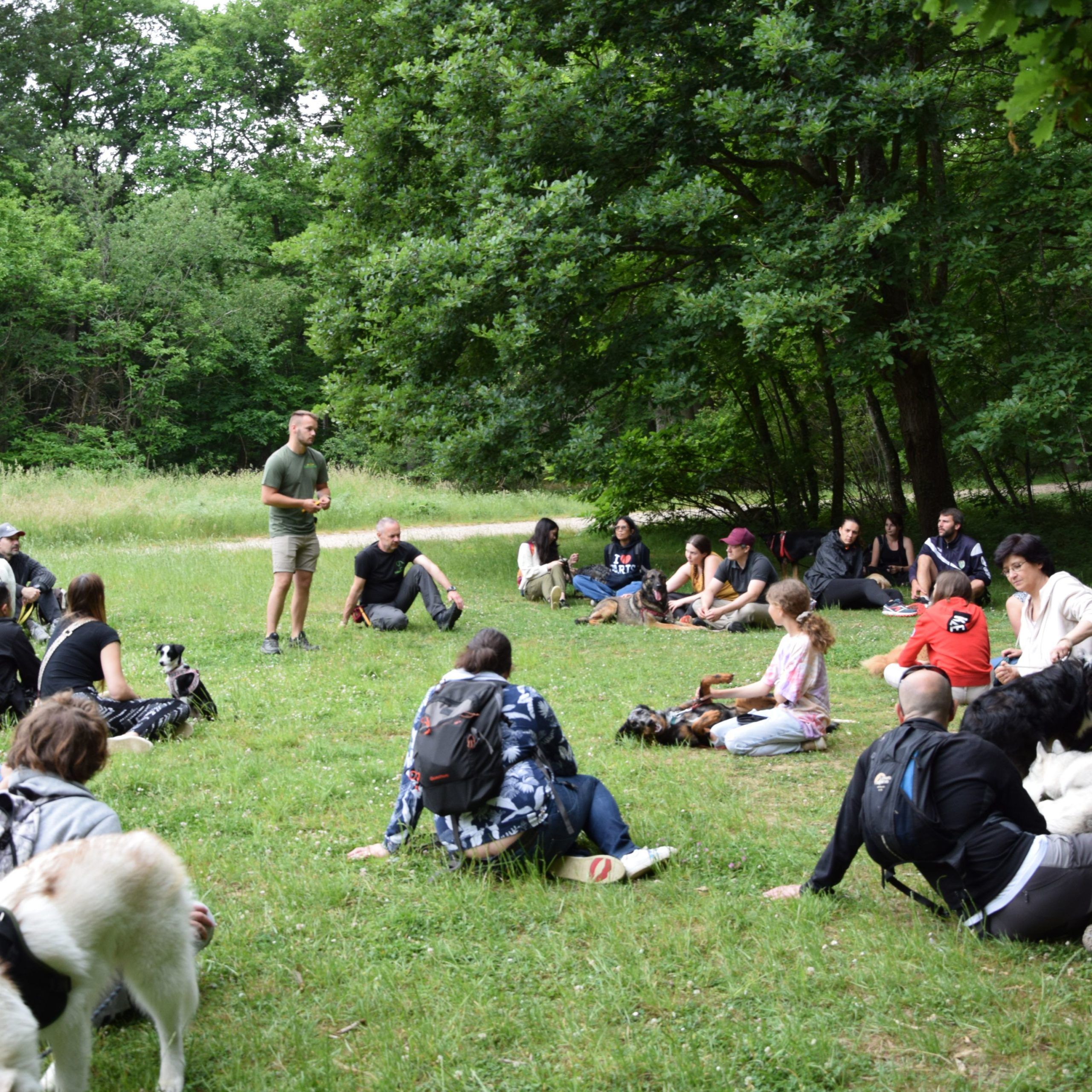 formation stages canins dans les Yvelines activités canines educhien formation éducation canine éducateur canin comportementaliste