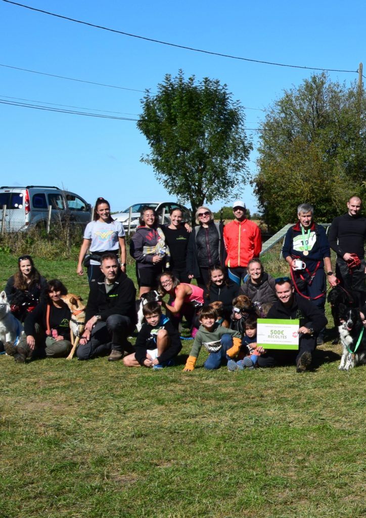canicross caritatif 2023 course canine dans les Yvelines pour les refuges SPA Educhien formation évènement canin Jouars-pontchatrain