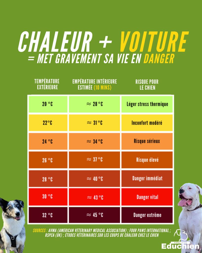 Tableau explicatif sur la chaleur et la voiture pour un chien. Les dangers de laisser son chien dans une voiture mĂȘme quelques minutes
