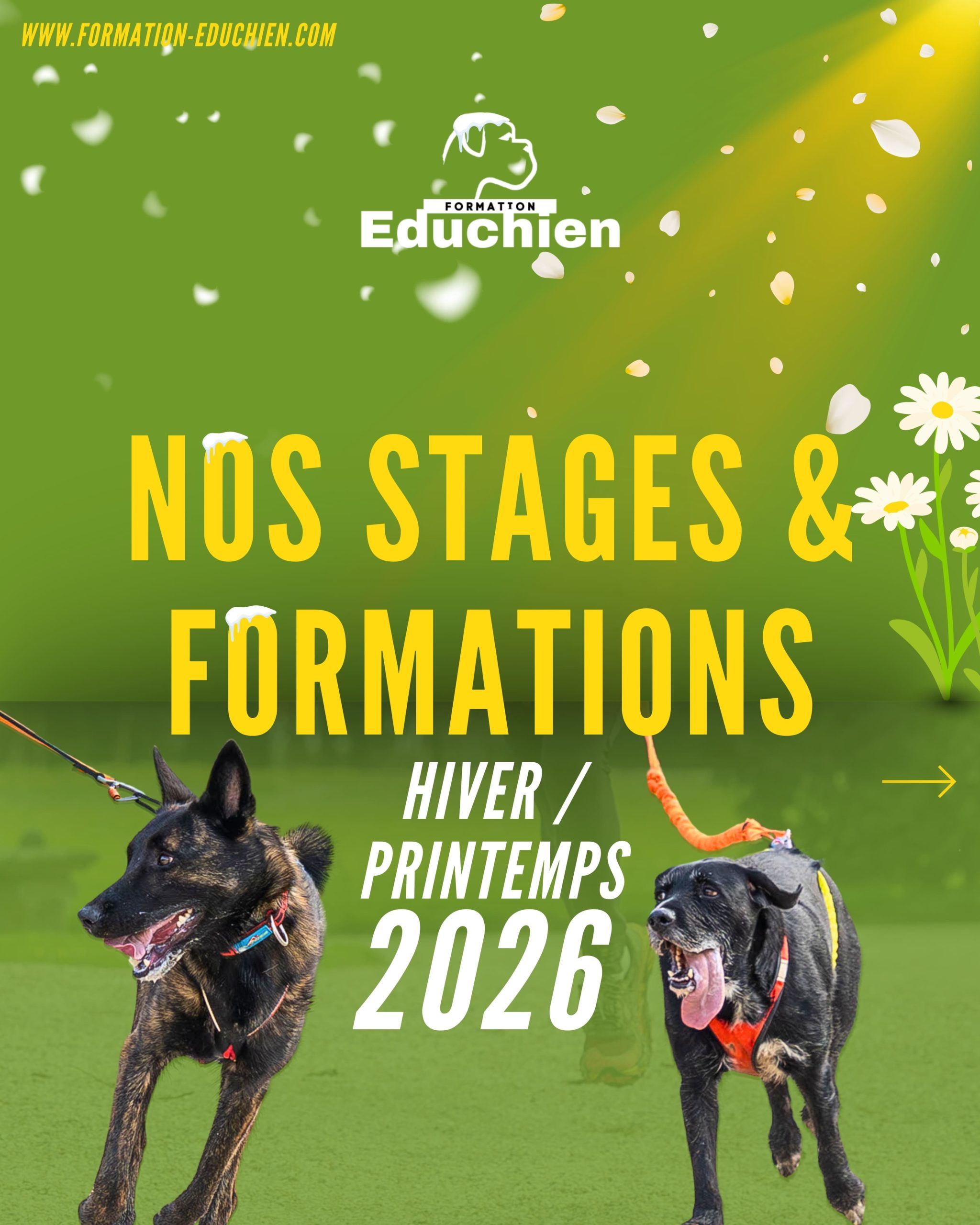Stages & Formations EDUCHIEN – Hiver / Printemps 2026